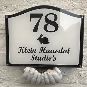 Klein Haasdal Studio's , Schimmert Nederland